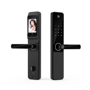 smart lock ql s802 pro