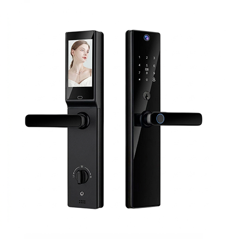 smart lock s819 2max
